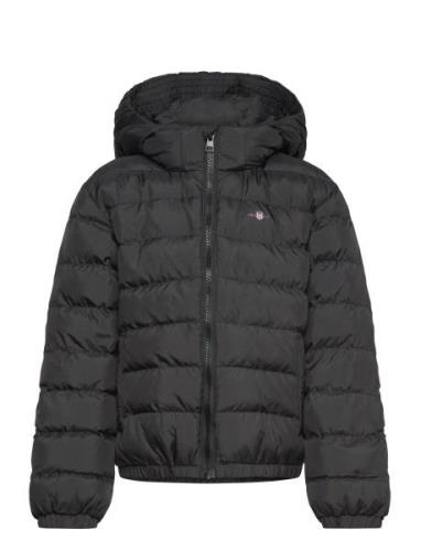 Shield Padded Jacket Toppatakki Black GANT