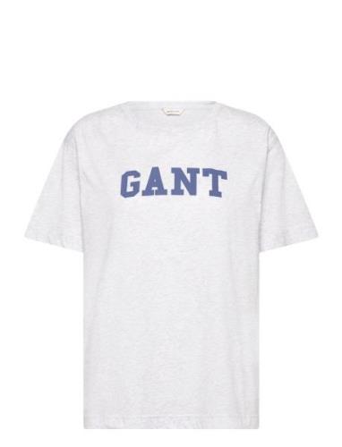 Graphic Ss T-Shirt Tops T-shirts & Tops Short-sleeved Grey GANT