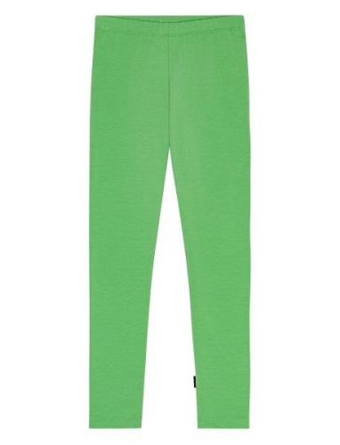 Nica Warm Bottoms Leggings Green Molo