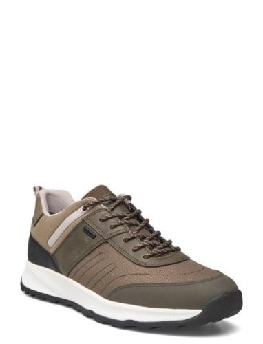 U Terrestre B Abx A Matalavartiset Sneakerit Tennarit Khaki Green GEOX