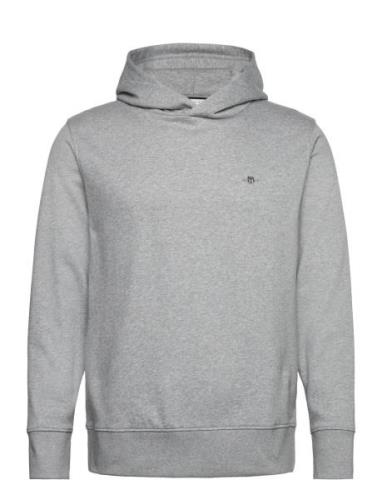 Reg Emb Archive Shield Hoodie Tops Sweat-shirts & Hoodies Hoodies Grey...