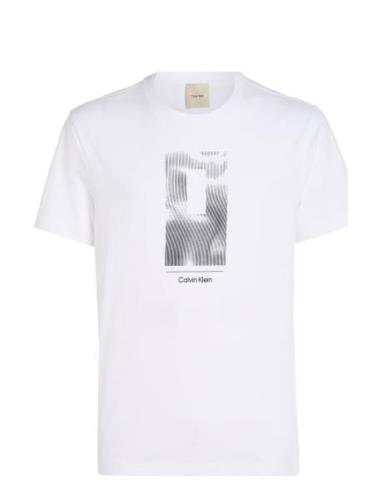 Vertical Lines Graphic T-Shirt Tops T-shirts Short-sleeved White Calvi...