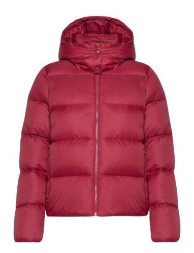 Mw Down Short Puffer Vuorillinen Takki Topattu Takki Pink Calvin Klein...