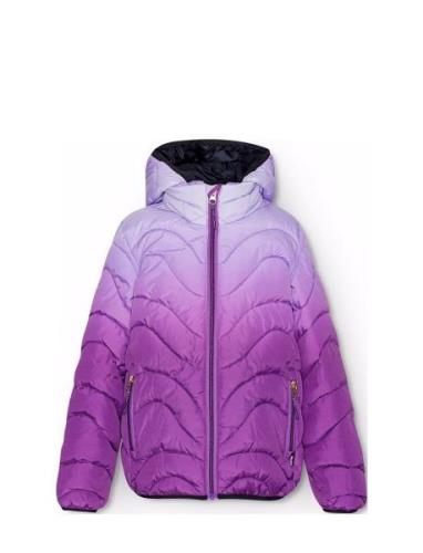 Hao Toppatakki Purple Molo