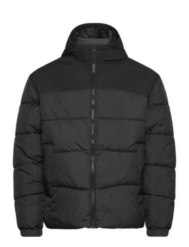 Jjmoon Hood Puffer Vuorillinen Takki Topattu Takki Black Jack & J S