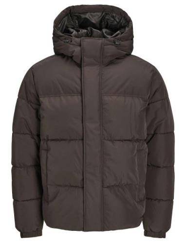 Jjebradley Puffer Hood Sn Vuorillinen Takki Topattu Takki Brown Jack &...