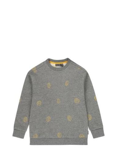 Bach Tops Sweat-shirts & Hoodies Sweat-shirts Grey TUMBLE 'N DRY