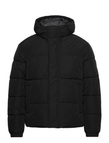 Jjebradley Puffer Hood Sn Vuorillinen Takki Topattu Takki Black Jack &...