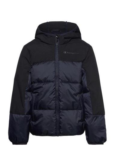 Hooded Jacket Toppatakki Navy Champion