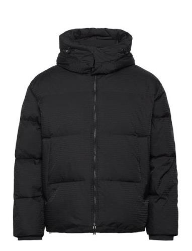 Down Jacket Vuorillinen Takki Topattu Takki Black Emporio Armani