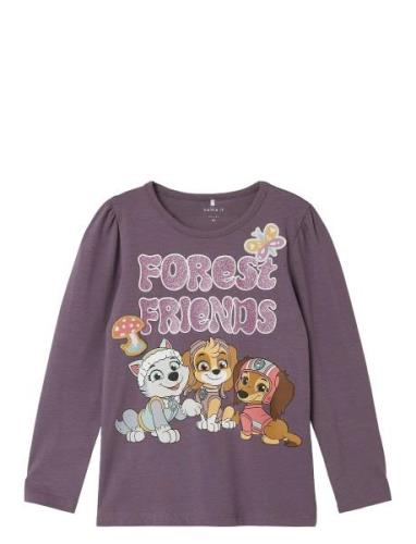 Nmfsusanne Pawpatrol Ls Top Box Cplg Tops T-shirts Long-sleeved T-shir...