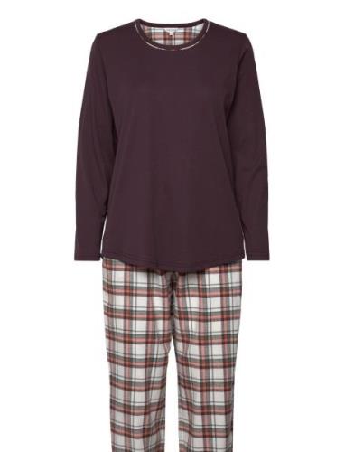 Cotton Flannel Pyjamas Pyjama Burgundy Lady Avenue