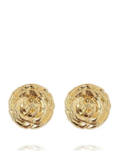 Rosita Earrings Gold Accessories Jewellery Earrings Studs Gold Carolin...