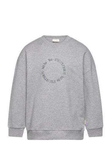 Sweat Shirt Haw Tops Sweat-shirts & Hoodies Sweat-shirts Grey Petit Pi...