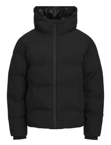 Jjpayne Puffer Jacket Vuorillinen Takki Topattu Takki Black Jack & J S