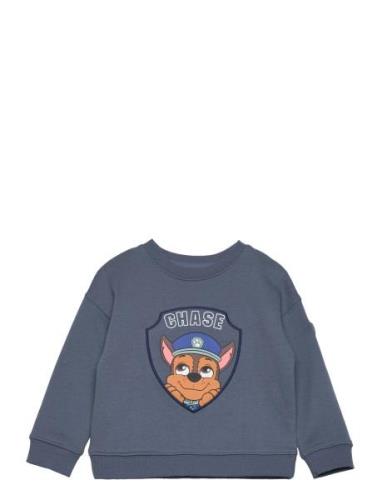 Paw Patrol Sweatshirt Tops Sweat-shirts & Hoodies Sweat-shirts Navy Ma...