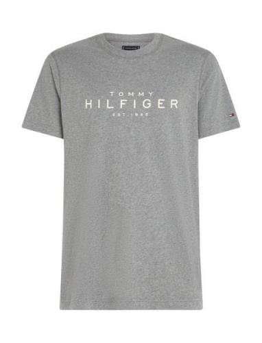 Big Hilfiger Tee Tops T-shirts Short-sleeved Grey Tommy Hilfiger