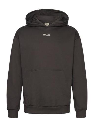 Halo Graphic Hoodie Tops Sweat-shirts & Hoodies Hoodies Black HALO