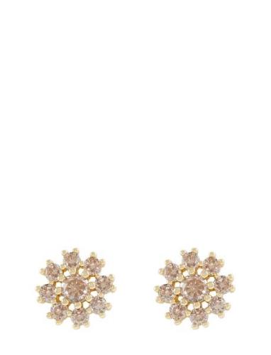 Trinnie Round Ear G/Champagne - Accessories Jewellery Earrings Studs G...