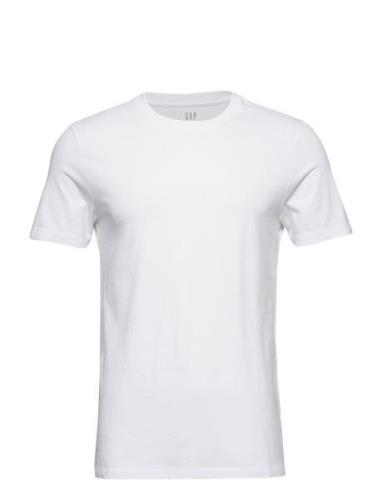 100% Organic Cotton Classic T-Shirt Tops T-shirts Short-sleeved White ...