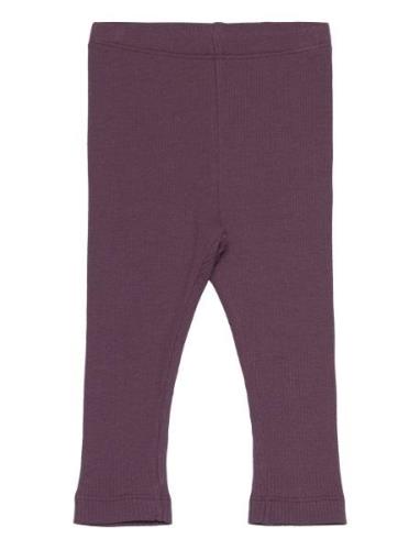 Leggings Rib Bottoms Leggings Purple Minymo